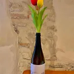 Casa Tormena Lantgård Valdobbiadene