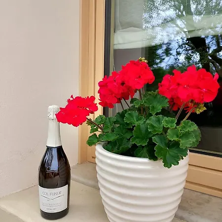 Casa Tormena Фермерский дом Вальдоббьадене