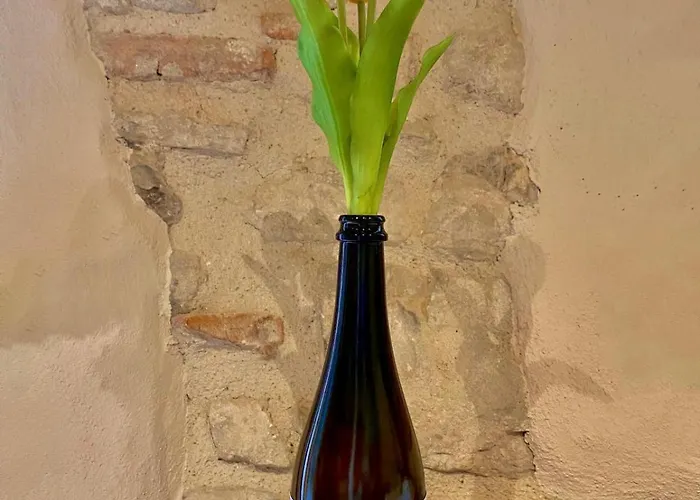 Casa Tormena Bauernhof Valdobbiadene